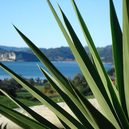 Ohuka Place Homestay Whitianga Ngoại thất bức ảnh