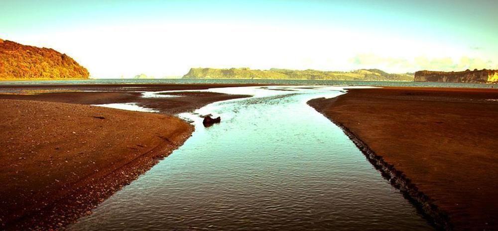 Ohuka Place Homestay Whitianga Ngoại thất bức ảnh