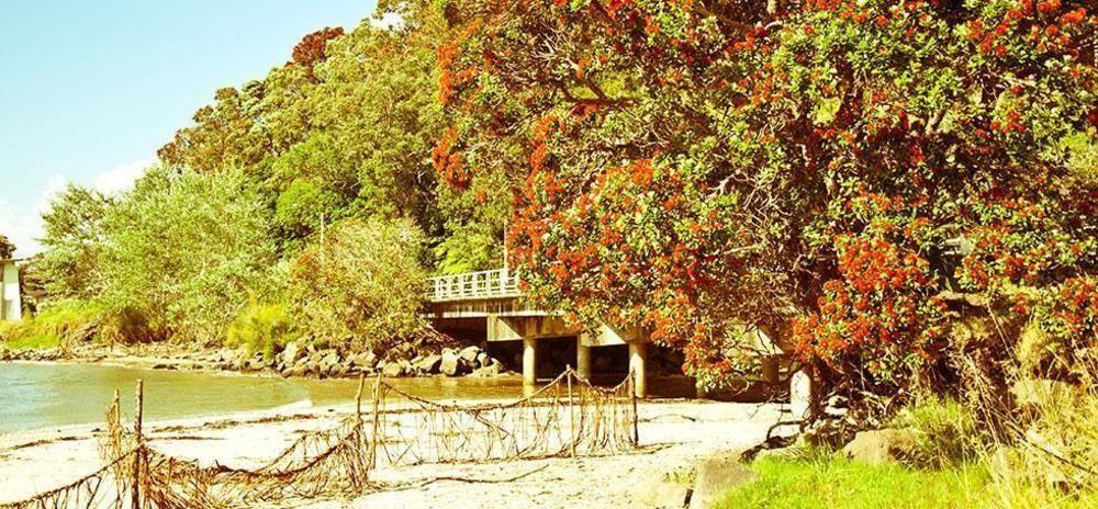 Ohuka Place Homestay Whitianga Ngoại thất bức ảnh